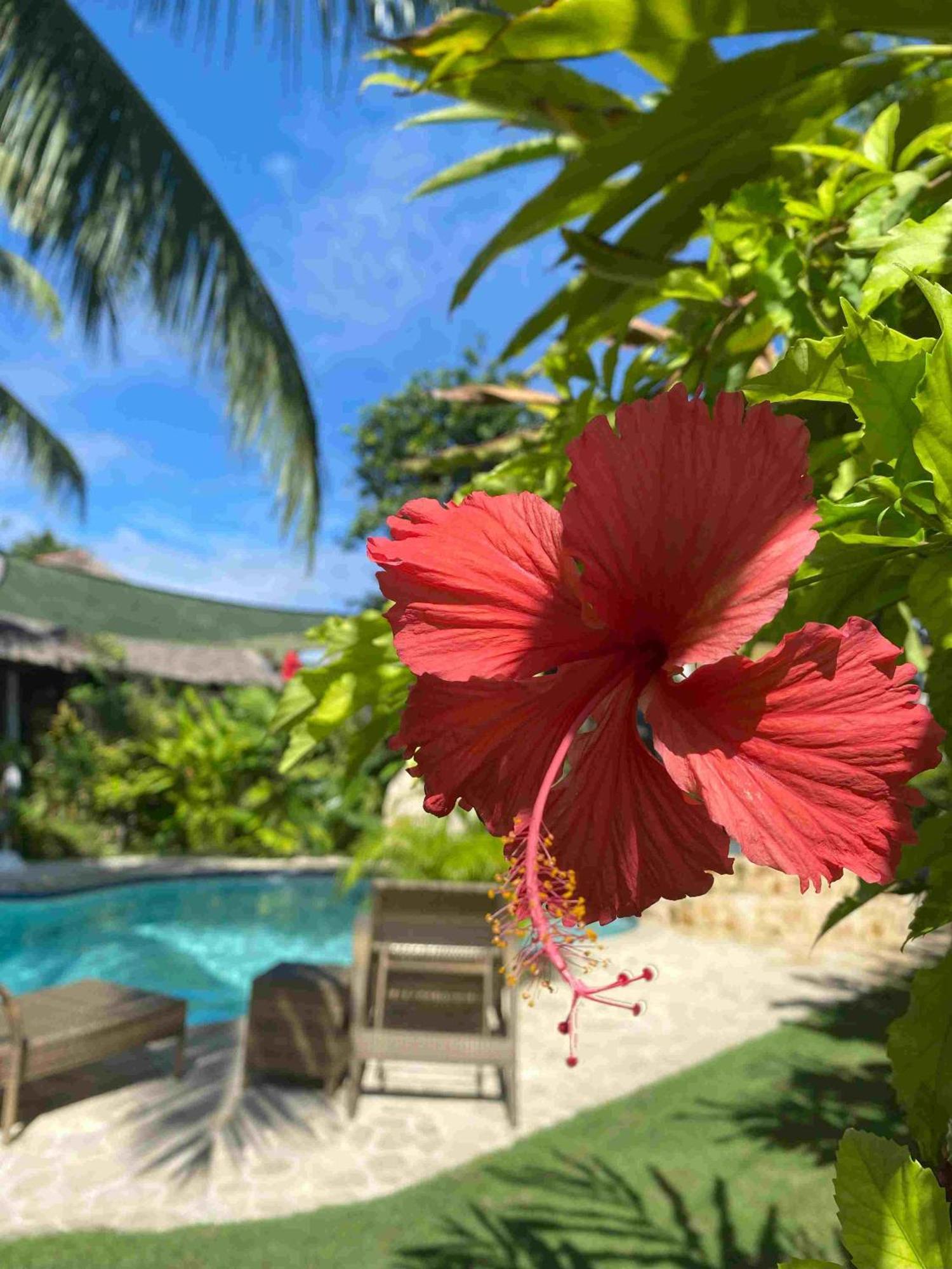 Romantic Beach Villas General Luna  Exterior photo